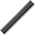 Express 30cm Plastic Ruler