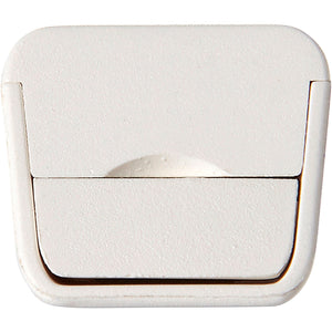 Bolstead Laser pointer