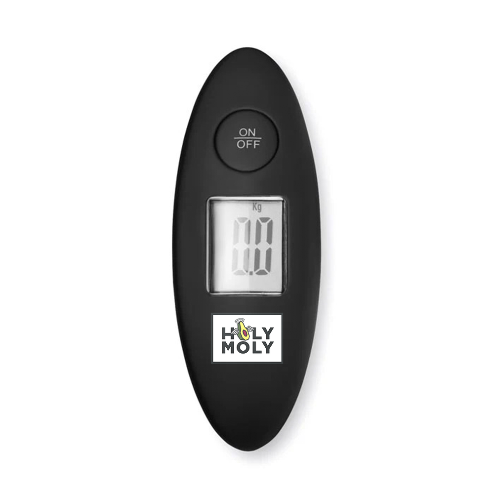 Luggage scale