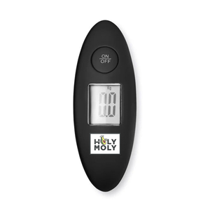 Luggage scale