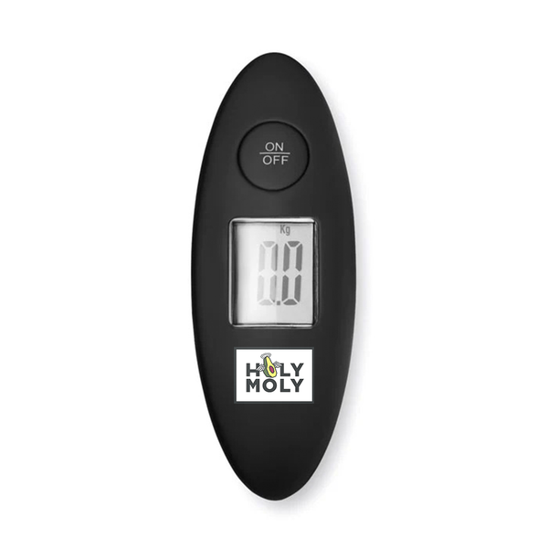 Luggage scale