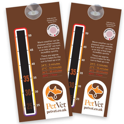 In Car Temperature Gauge Card with Optional Two-Sided Print