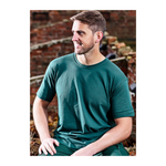 Orn Plover Premium T-Shirt