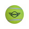 Personalised Padel Balls