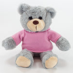 Coloured Hoodie Bear