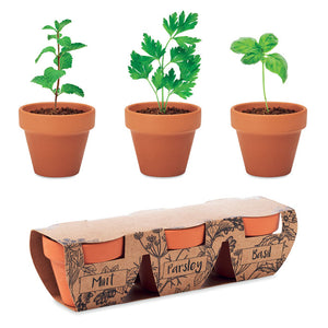 Branded Terracotta 3 herb pot set