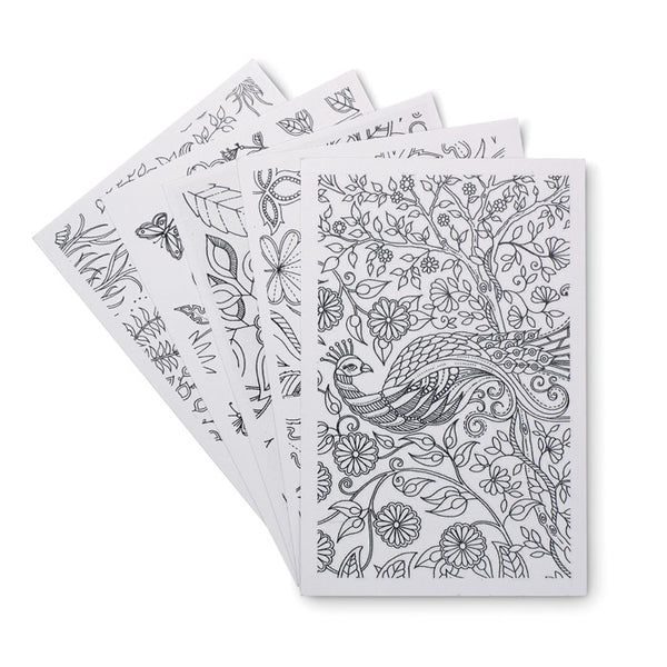 Branded Drawing adult set