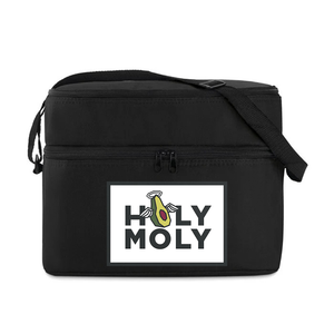 Cooler bag with 2 compartments