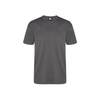 Orn Plover Premium T-Shirt