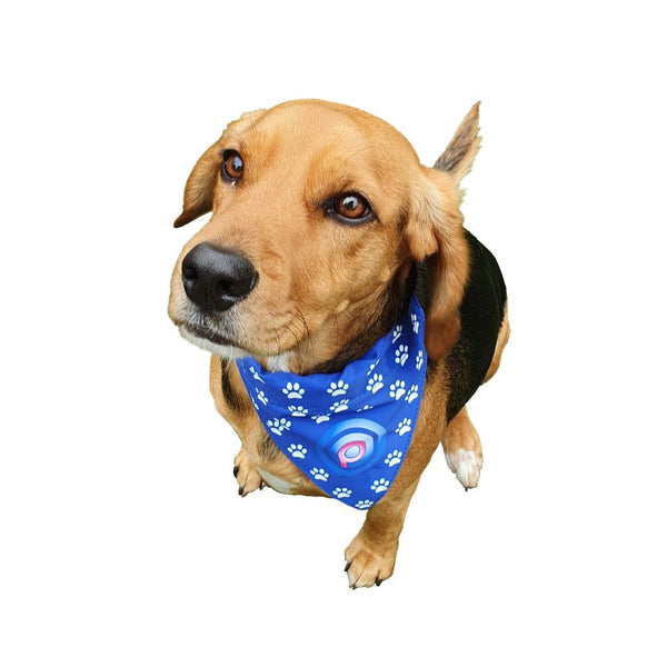 Branded Dog Bandana