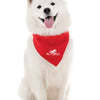 Branded Small Satin Pet Bandana