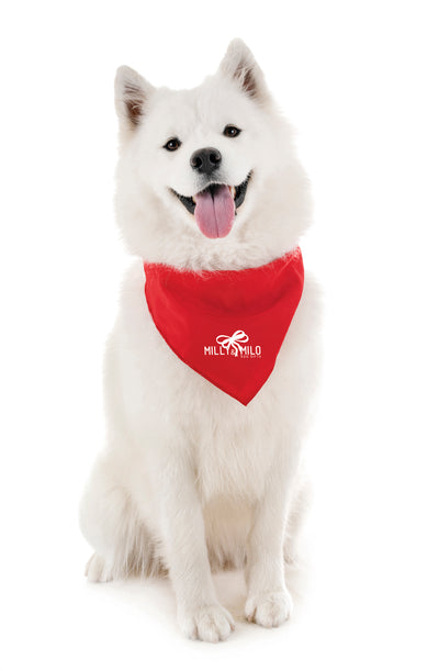 Branded Small Satin Pet Bandana
