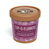 Seed Pot Cup'o Cardboard Pot Butterfly & Bee Mix