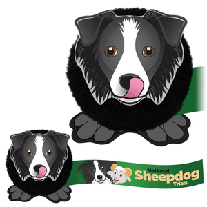 Dog Promo Pals Pals Animated Border Collie