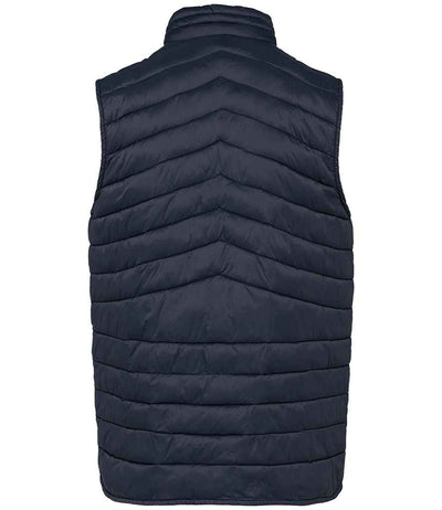 Native Spirit Light Recycled Bodywarmer