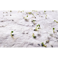 A6 wildflower seed paper sheet