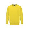 Orn Kite Premium Sweatshirt