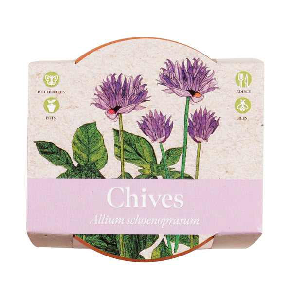 Growing Gift Chives