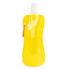 Foldable Water Bottle with matching carabiner