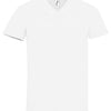 Branded SOL'S Imperial V Neck T-Shirt