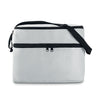 Branded Cooler bag with 2 compartments