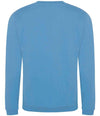 Pro RTX Pro Sweatshirt Sky Blue