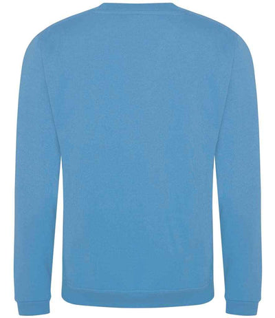 Pro RTX Pro Sweatshirt Sky Blue