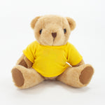 Coloured T-Shirt Bear III
