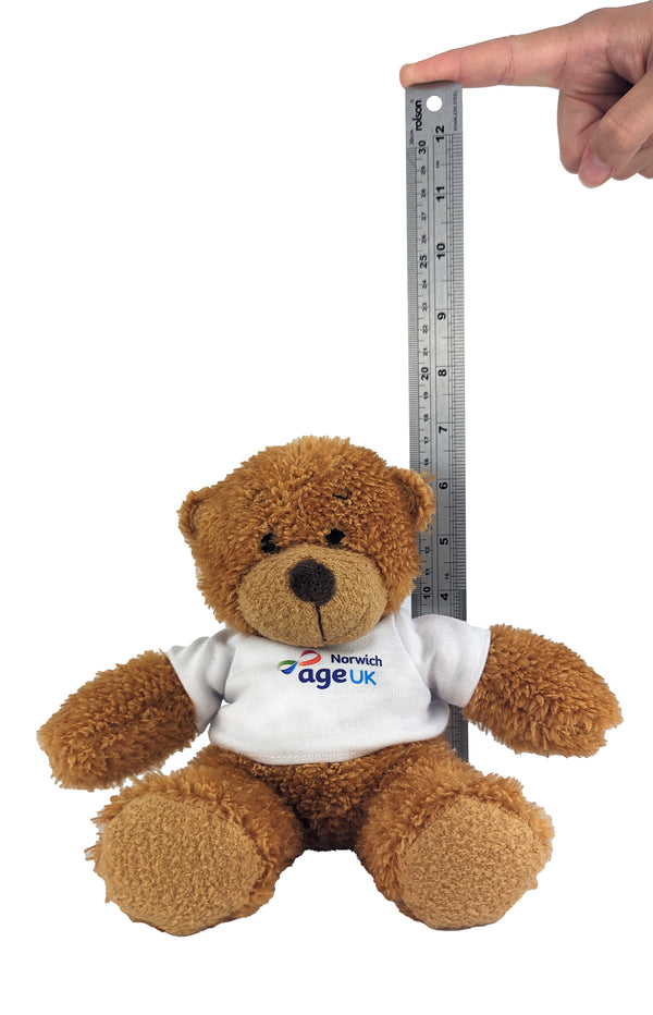 Anne Teddy Bear | Branded Logo Teddy Bear