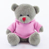 Coloured Hoodie Bear