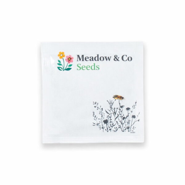 Large Square Seed Packet