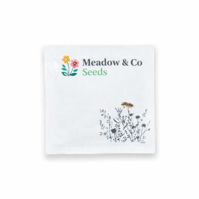 Large Square Seed Packet