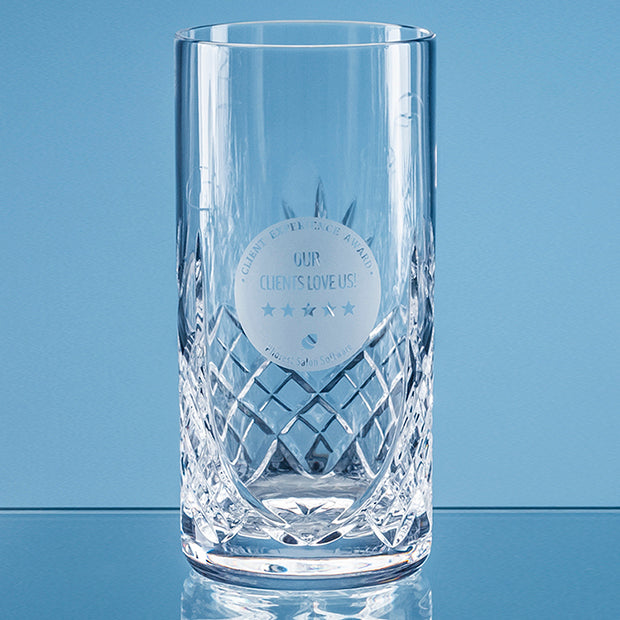 Branded 400ml Blenheim Lead Crystal Panel High Ball