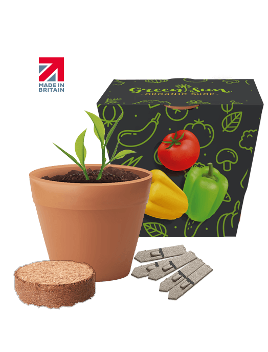 Recycled Pot Gardens