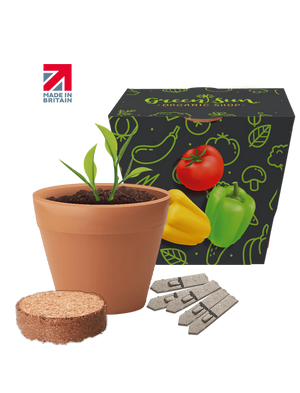 Recycled Pot Gardens