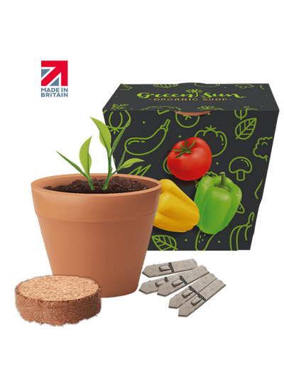 Recycled Pot Gardens