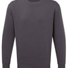 Anthem Organic Sweatshirt