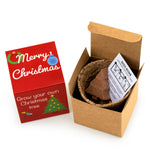 Christmas Tree Seed Bomb Kit Includes Kraft Box & Sleeve