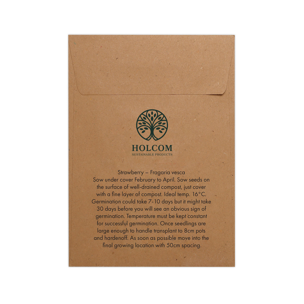 Seed Pack in Kraft Paper Envelope
