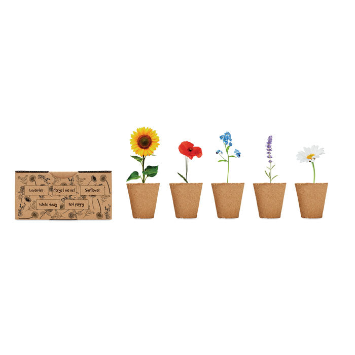 Branded Flowers growing kit