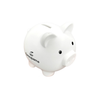 Premium Piggy Bank