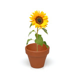 3-in-1 Garden Trio Sunflower