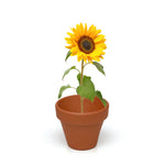 3-in-1 Garden Trio