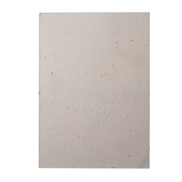 Seed Paper A6 Post Card