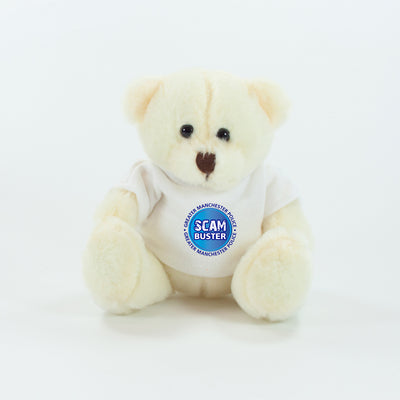 Coloured T-Shirt Bear II