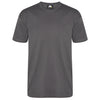 Orn Plover Premium T-Shirt Graphite
