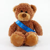 Sash Bear II 30cm Barney Bear, Chestnut