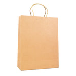 Branded Brunswick Large Brown Paper Bag with matching twisted paper handles