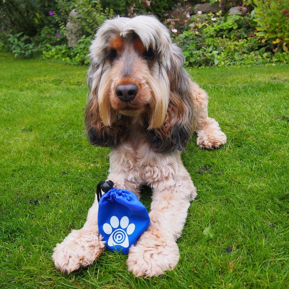 Branded Dog Treat Bag