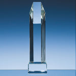 Branded 25.5cm Optical Crystal Hexagon Award